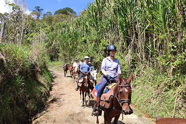 Voyage &agrave; cheval en Equateur - Randonn&eacute;e &eacute;questre organis&eacute;e par Randocheval