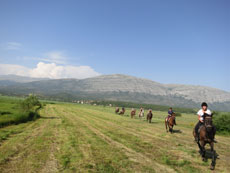 randonnée équestre en Craotie (Dalmatie) entre terre et eau - Randocheval / Absolu voyages