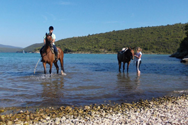 Voyage à cheval - Randonnée équestre en Croatie avec Randocheval