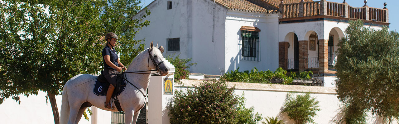 Voyage à cheval - Randonnée équestre organisée par Randocheval