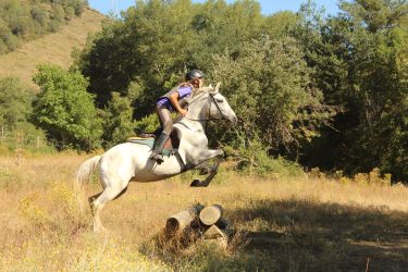 Voyage &agrave; cheval et stage linguistique - Randonn&eacute;e &eacute;questre organis&eacute;e par Randocheval