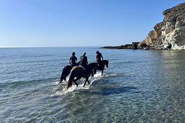 Voyage &agrave; cheval sur les plages d'Andalousie - Randonn&eacute;e &eacute;questre organis&eacute;e par Randocheval
