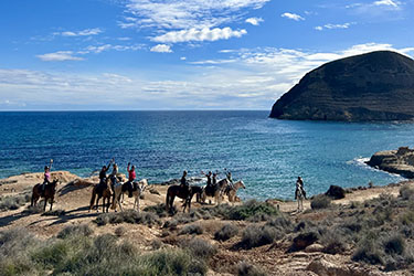 Voyage &agrave; cheval sur les plages d'Andalousie - Randonn&eacute;e &eacute;questre organis&eacute;e par Randocheval