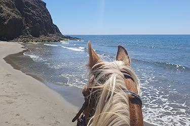 Voyage &agrave; cheval sur les plages d'Andalousie - Randonn&eacute;e &eacute;questre organis&eacute;e par Randocheval