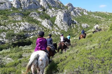 Rando Cheval - Voyage à cheval