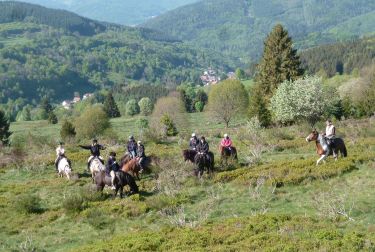 Rando Cheval - Voyage &agrave; cheval