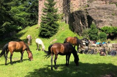 Rando Cheval - Voyage &agrave; cheval