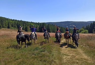 Rando Cheval - Voyage &agrave; cheval