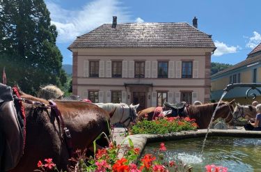 Rando Cheval - Voyage &agrave; cheval