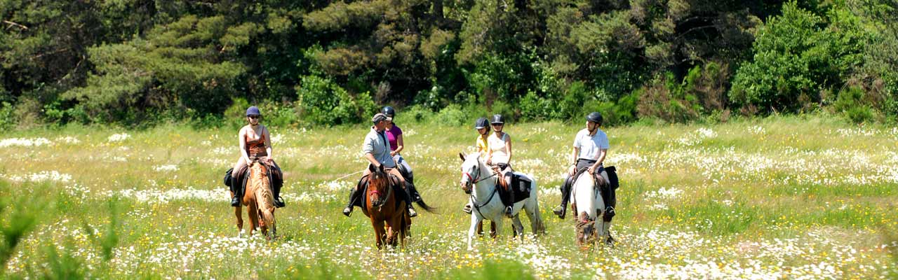 Randonnées équestres et aventure à cheval dans le Rhone Alpes (France)