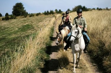 Rando Cheval - Voyage à cheval