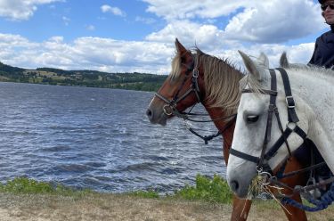 Rando Cheval - Voyage à cheval