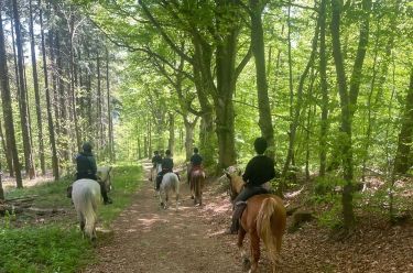 Rando Cheval - Voyage à cheval