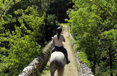 Rando Cheval - Voyage à cheval