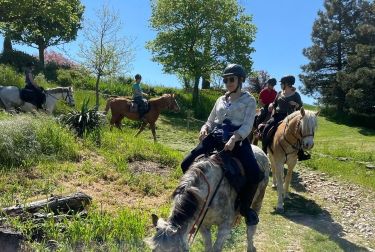 Rando Cheval - Voyage à cheval