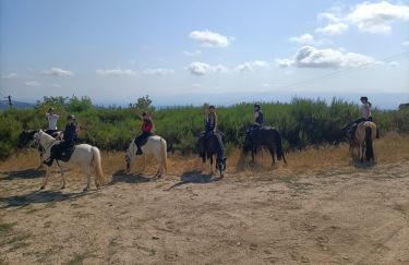 Rando Cheval - Voyage à cheval