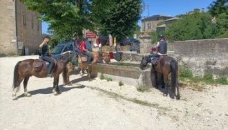 Randonnée à cheval - Un voyage Rando Cheval