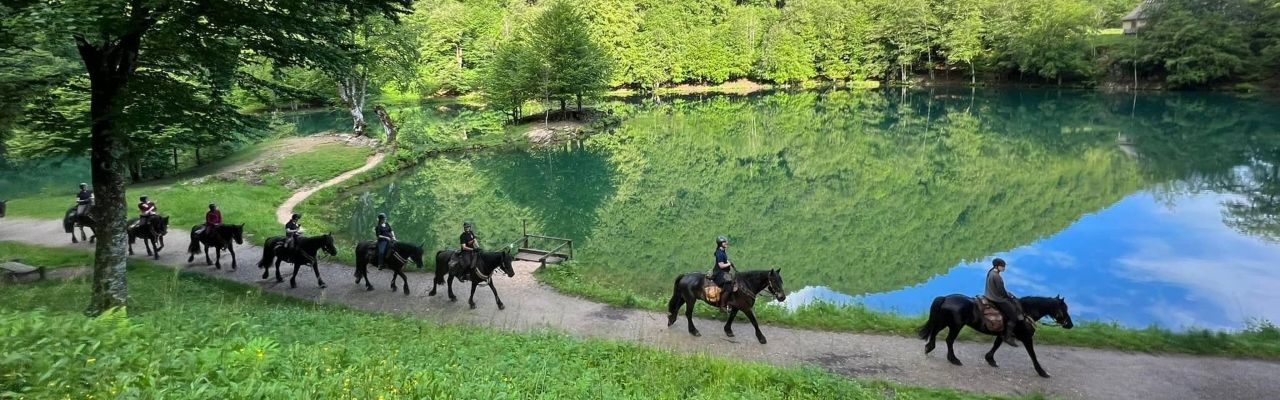 Voyage &agrave; cheval - Randonn&eacute;e &eacute;questre organis&eacute;e par Randocheval