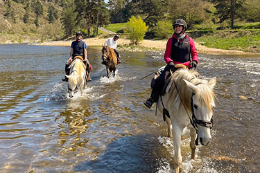 chevaux de randonnee sous le pont de pierre loire auvergne