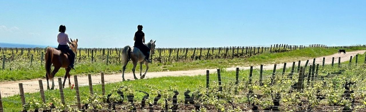 Voyage à cheval - Randonnée équestre organisée par Randocheval