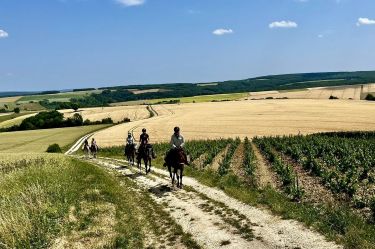 Rando Cheval - Voyage &agrave; cheval