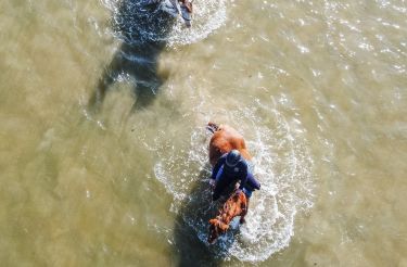 Rando Cheval - Voyage &agrave; cheval