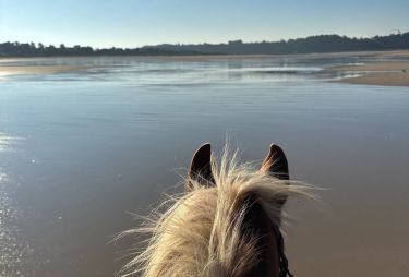 Rando Cheval - Voyage à cheval