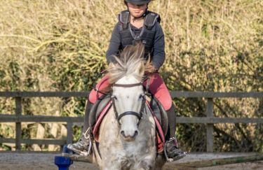 Rando Cheval - Voyage &agrave; cheval