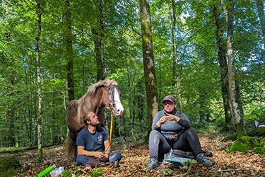 Petit groupe de cavaliers en randonn&eacute;e &eacute;questre conviviale en Bretagne
