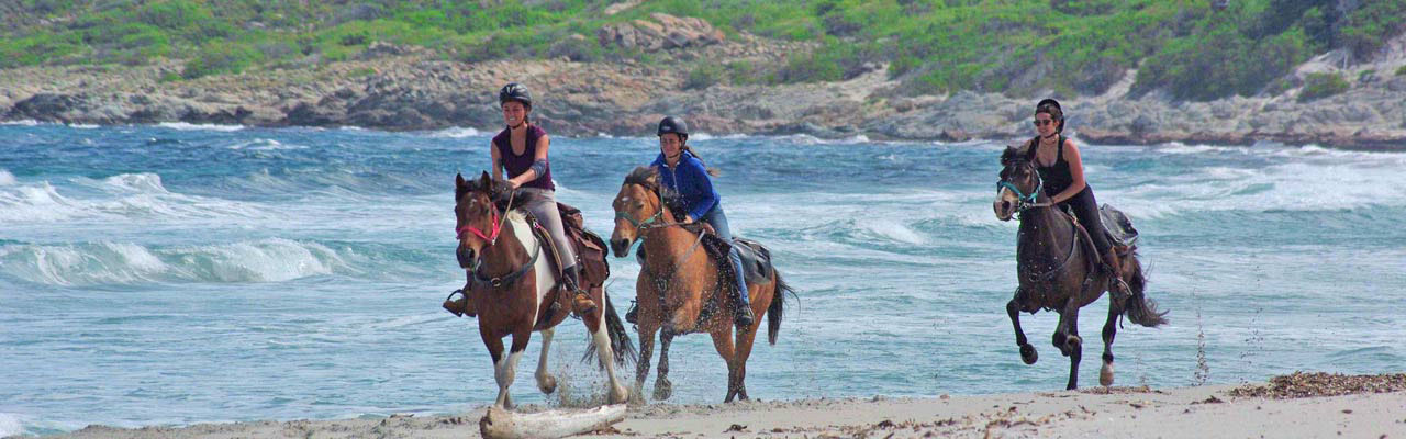 Voyage &agrave; cheval - Randonn&eacute;e &eacute;questre organis&eacute;e par Randocheval