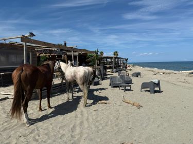 Rando à cheval en Corse