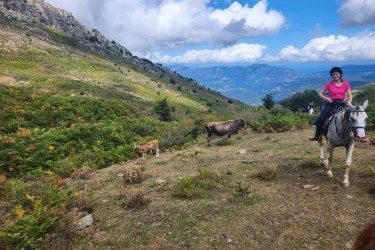Rando à cheval en Corse
