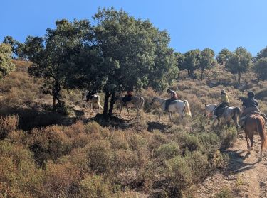 Voyage à cheval en Rando à cheval en Corse