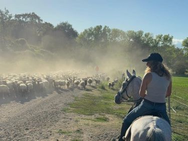 Rando à cheval en Corse