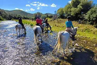 Rando à cheval en Corse