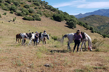 Rando à cheval en Corse