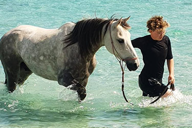 Rando à cheval en Corse