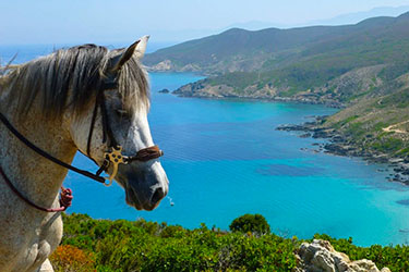 Rando &agrave; cheval en Corse