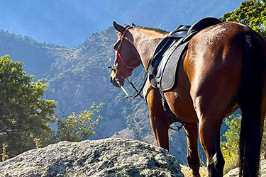 Rando &agrave; cheval en Corse