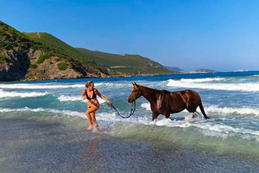 Rando &agrave; cheval en Corse