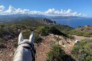 Rando &agrave; cheval en Corse