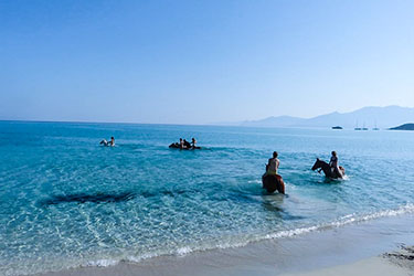 Rando &agrave; cheval en Corse