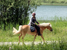 randonnée à cheval dans le massif du Jura - randocheval