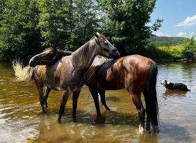Randonn&eacute;e &eacute;questre Bourgogne, Morvan Endurance - RANDOCHEVAL