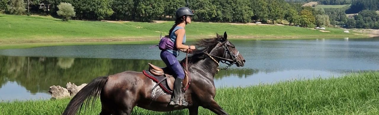 Voyage &agrave; cheval - Randonn&eacute;e &eacute;questre organis&eacute;e par Randocheval