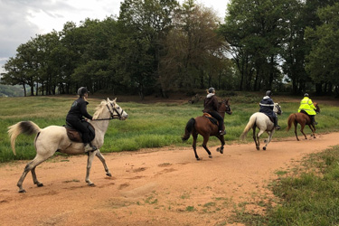 Randonnée à cheval - Un voyage Rando Cheval