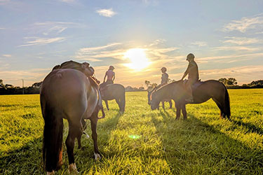 Voyage &agrave; cheval et stage linguistique - Randonn&eacute;e &eacute;questre organis&eacute;e par Randocheval