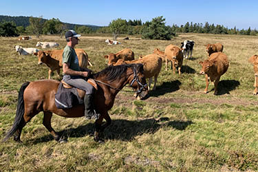 Voyage à cheval en Equateur - Randonnée équestre organisée par Randocheval