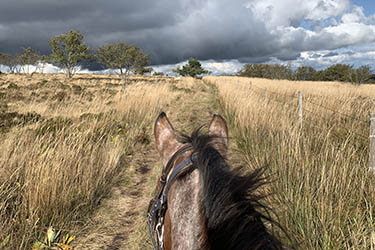 Voyage à cheval en Equateur - Randonnée équestre organisée par Randocheval