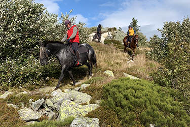 Voyage à cheval en Equateur - Randonnée équestre organisée par Randocheval